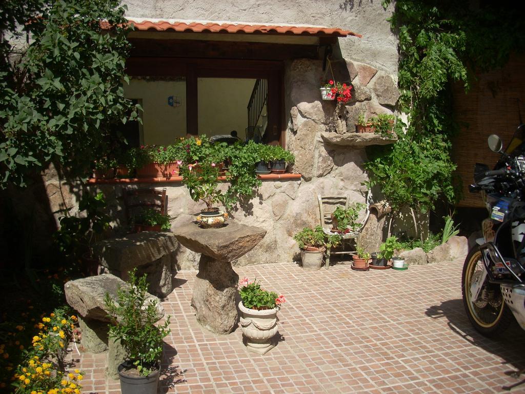 Bed and Breakfast Sa Rosa E Su Trapperi Oschiri Exterior foto