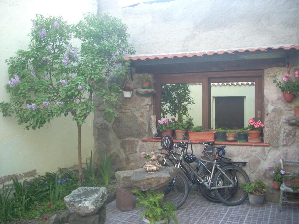 Bed and Breakfast Sa Rosa E Su Trapperi Oschiri Exterior foto